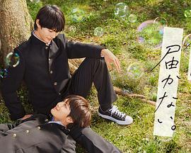 湖北网站优化要多少钱